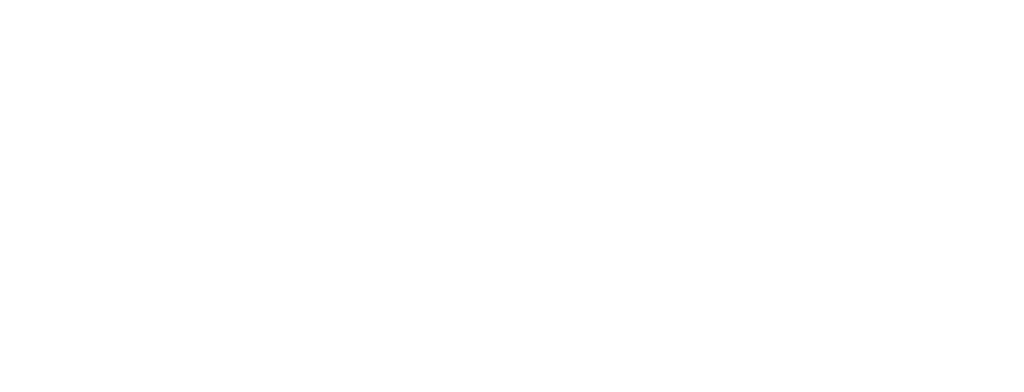 Jaguar Ventura
