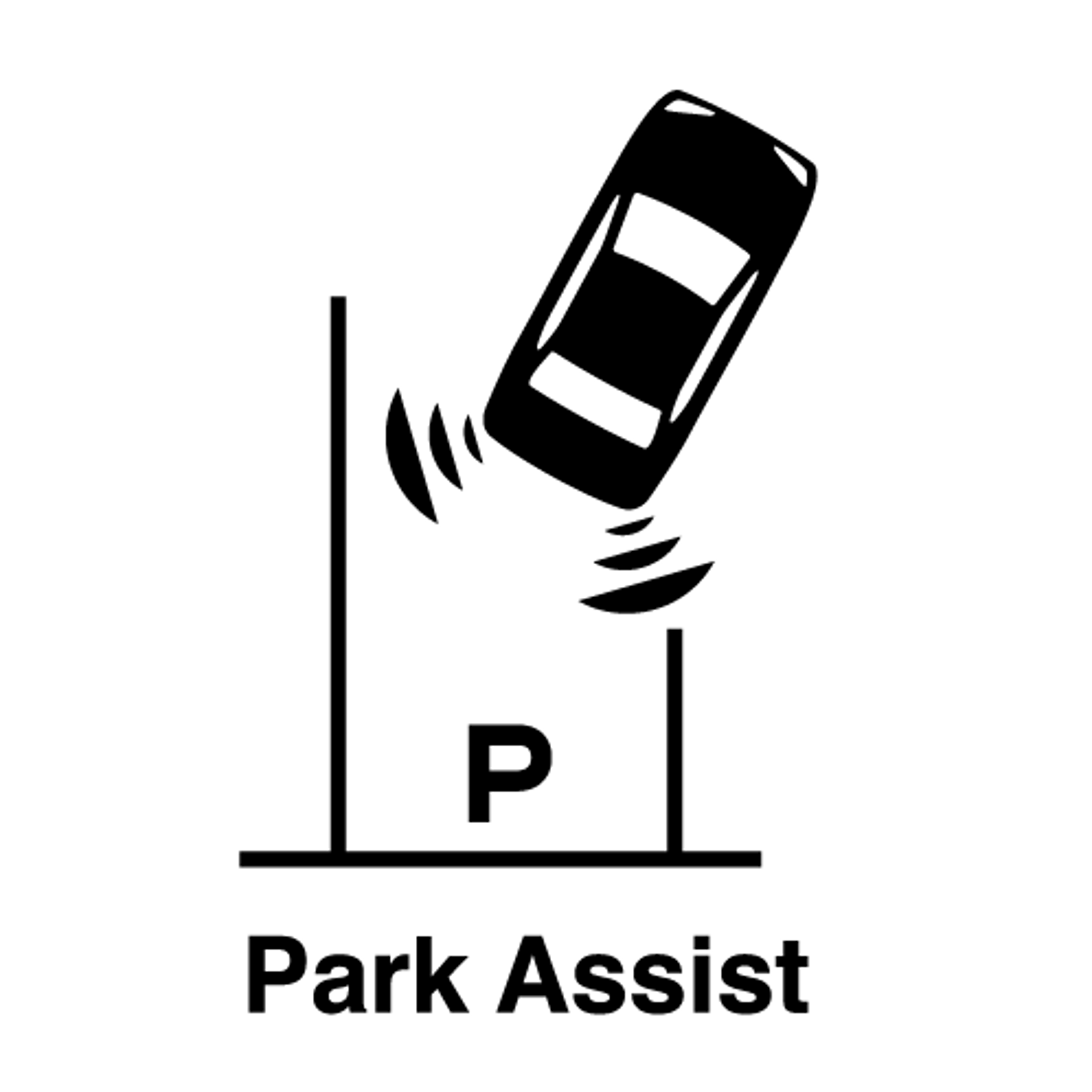 park-assist